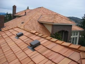 Professional roofing